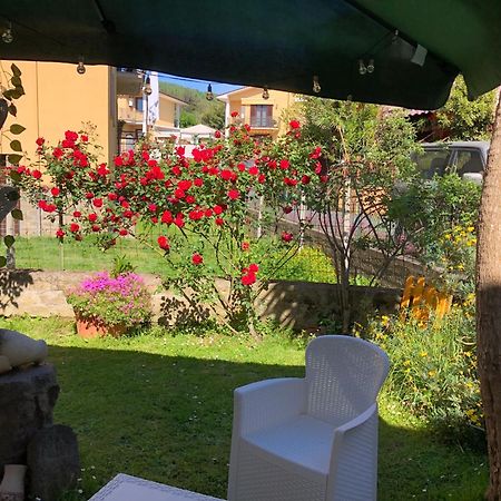 B&B Anna Μπολσένα Εξωτερικό φωτογραφία