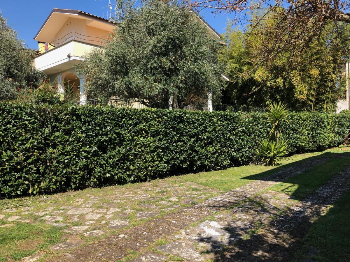 B&B Anna Μπολσένα Εξωτερικό φωτογραφία