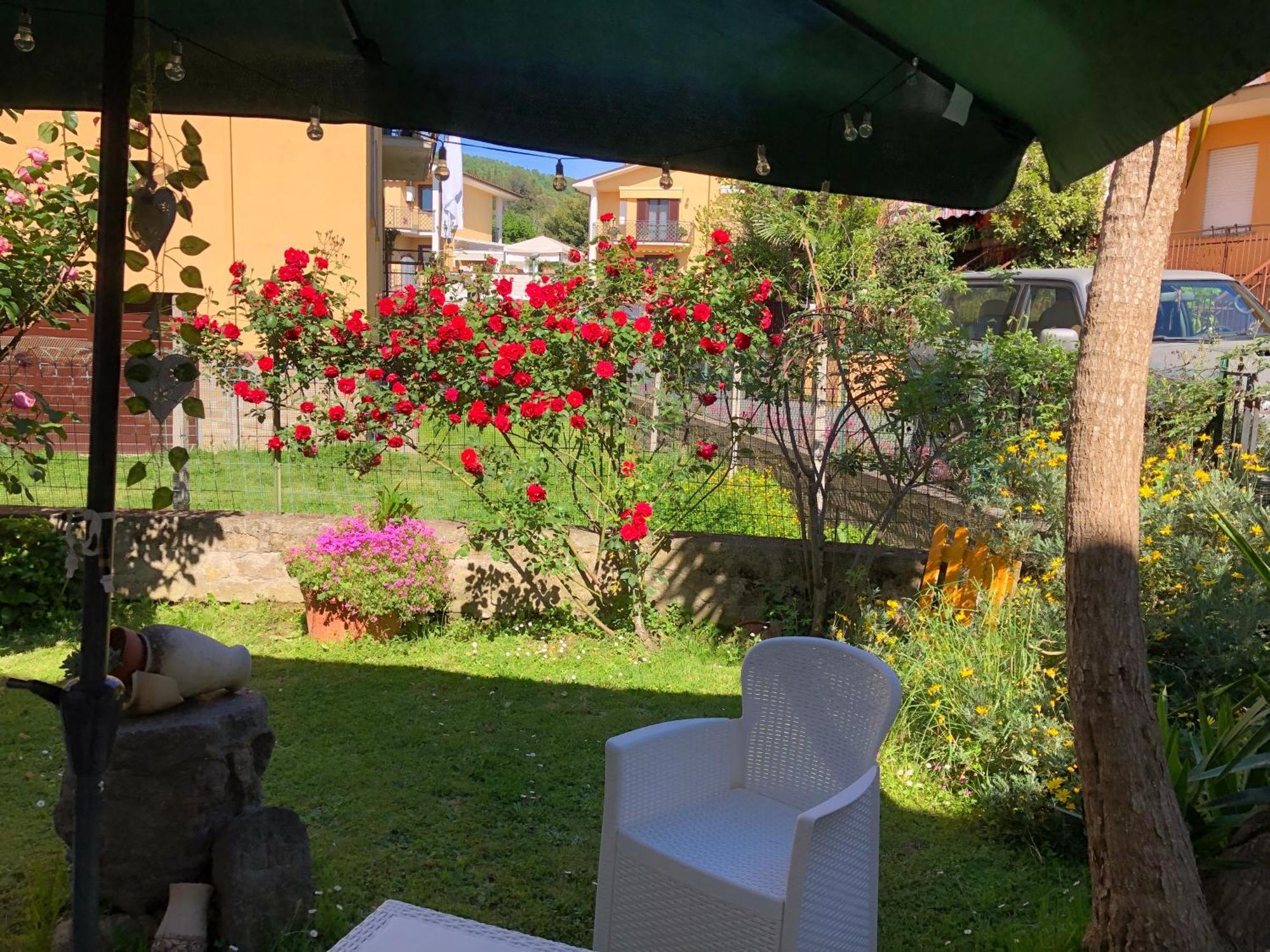B&B Anna Μπολσένα Εξωτερικό φωτογραφία